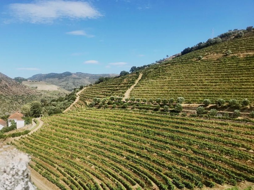 appellation Porto